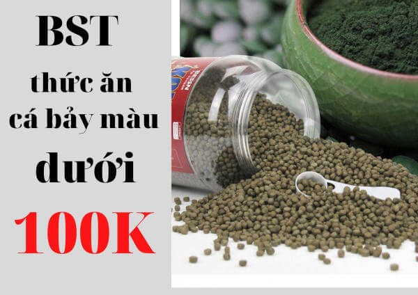 Đàn cá bảy màu khỏe mạnh nhờ chế độ dinh dưỡng hợp lý