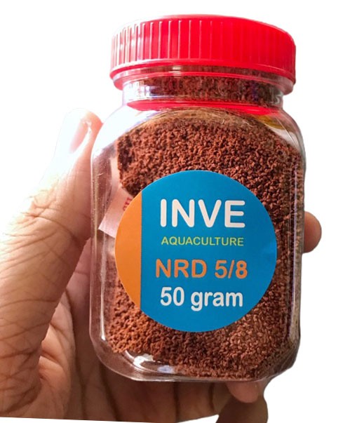 Cám Inve Thái Lan tiện lợi và giàu dinh dưỡng