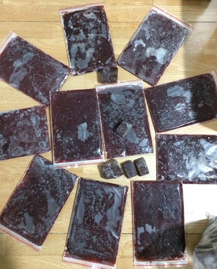 Trùn huyết và trùn chỉ đông lạnh là lựa chọn tiện lợi và an toàn cho cá Betta