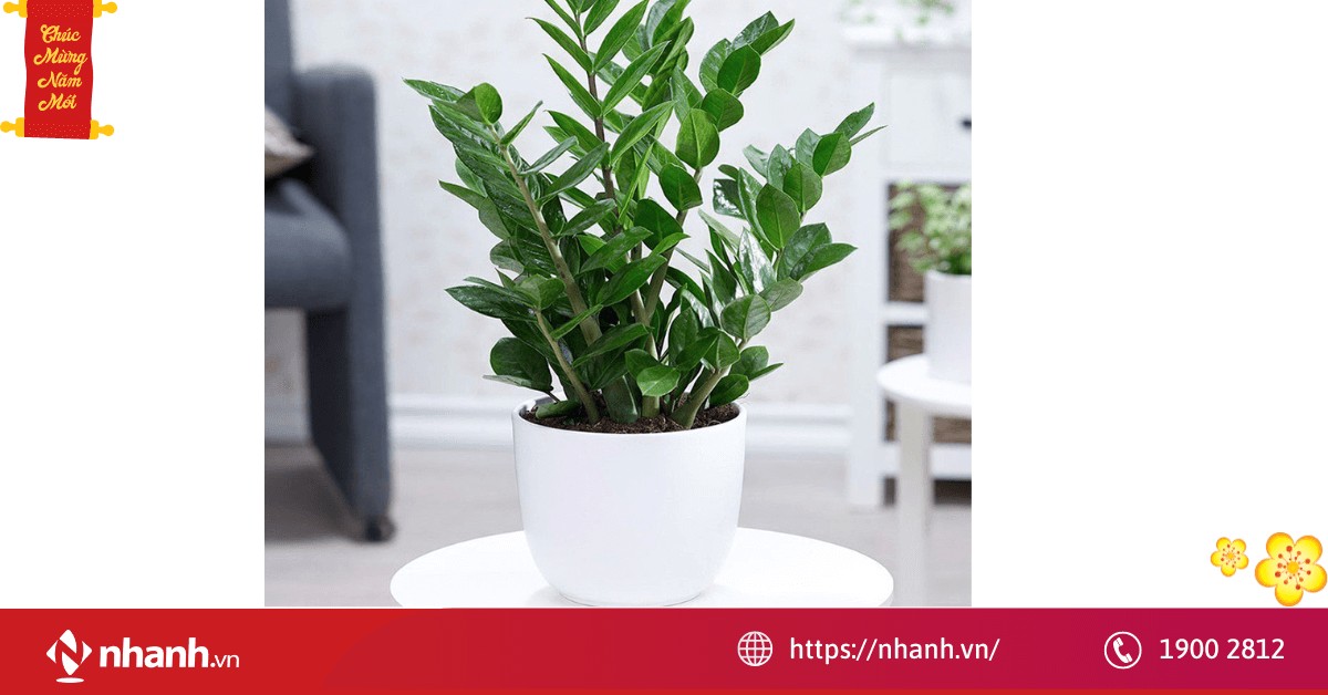 20230108uv71gyh92ce8op3n 1