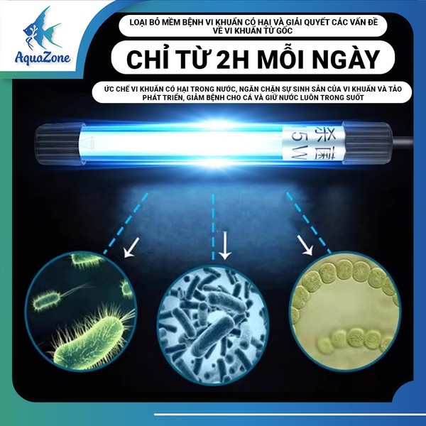 Đèn UV diệt tảo và vi khuẩn nhanh chóng