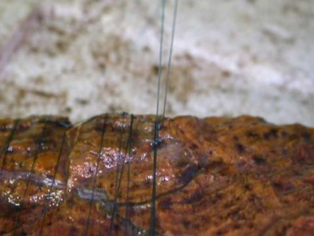 Hình ảnh minh họa kỹ thuật buộc rêu