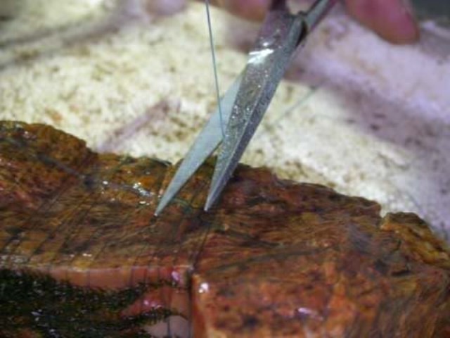 Hình ảnh minh họa kỹ thuật buộc rêu