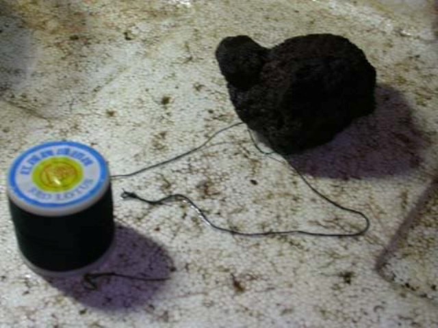 Hình ảnh minh họa kỹ thuật buộc rêu