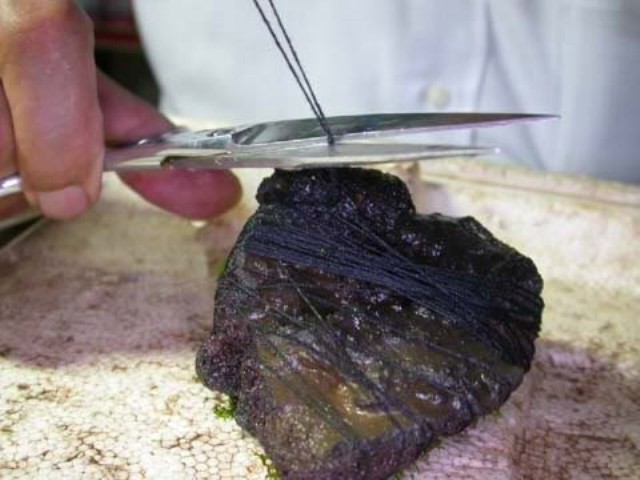 Hình ảnh minh họa kỹ thuật buộc rêu