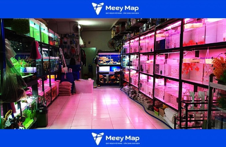 Cá cảnh Song Thanh