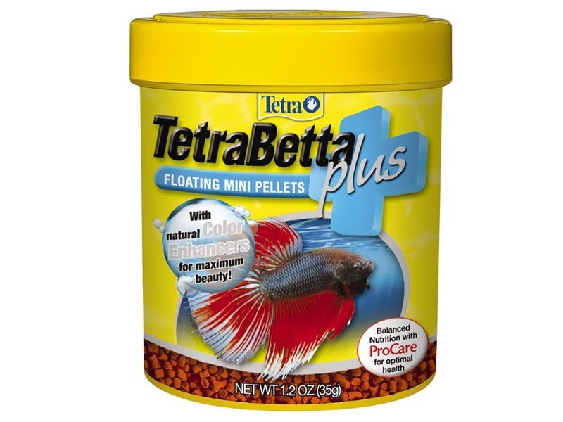 Chọn thức ăn cũng là phần quan trọng nhất để quyết định quá trình phát triển của cá