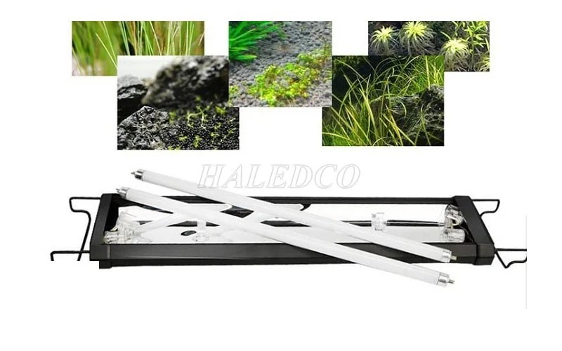 Chọn đèn cho hồ thủy sinh theo kích thước bể