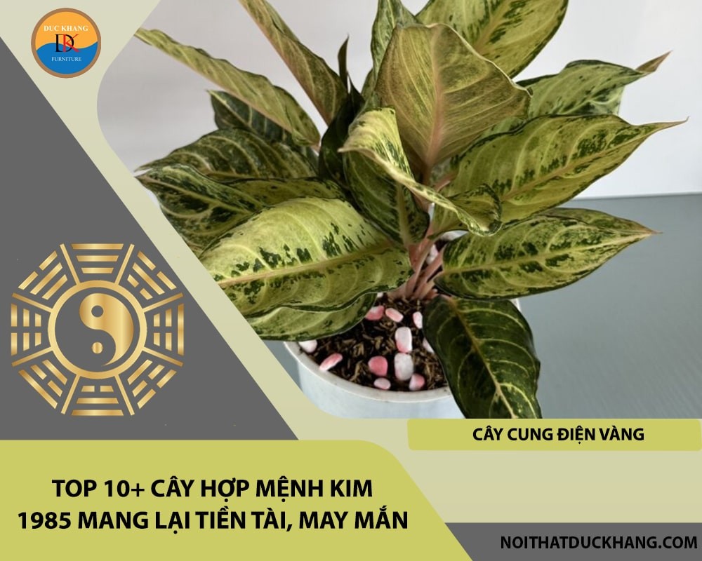 Top 10+ cây hợp mệnh Kim 1985 mang lại tiền tài, may mắn - Cây cung điện vàng