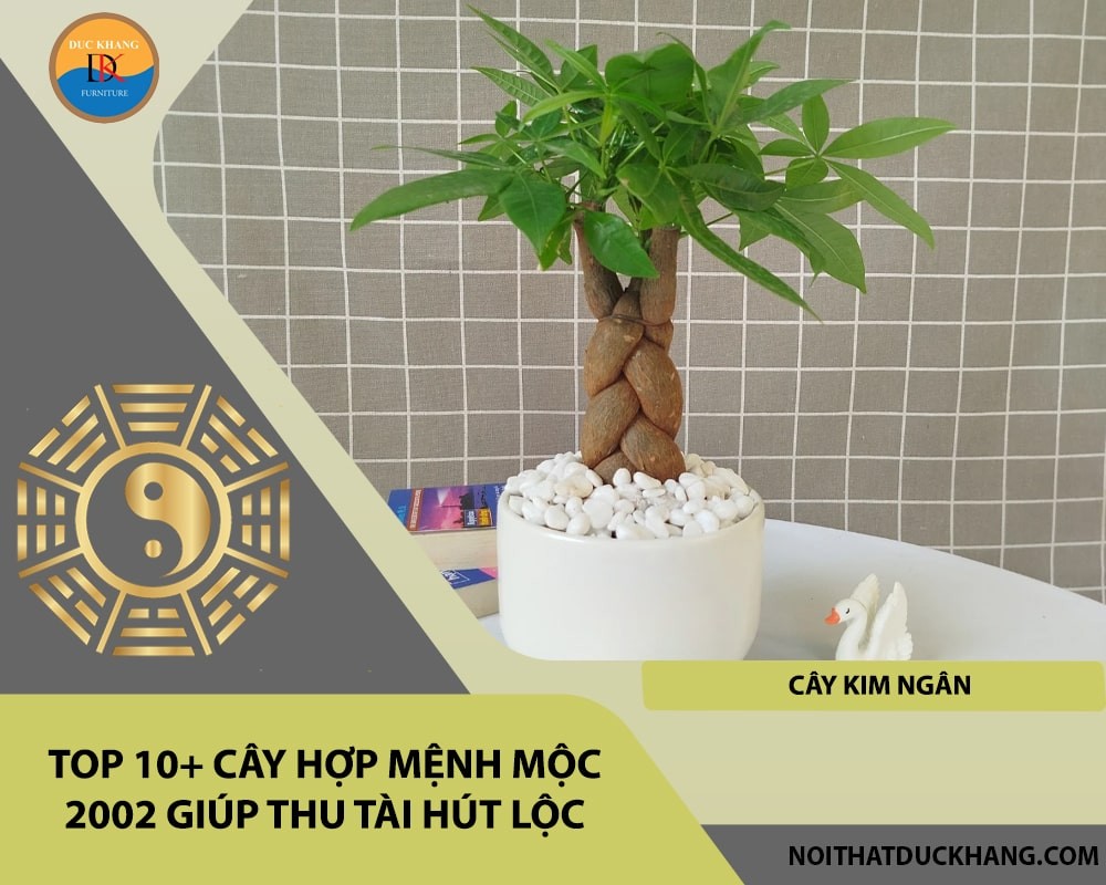 cay menh moc 2002 2 1