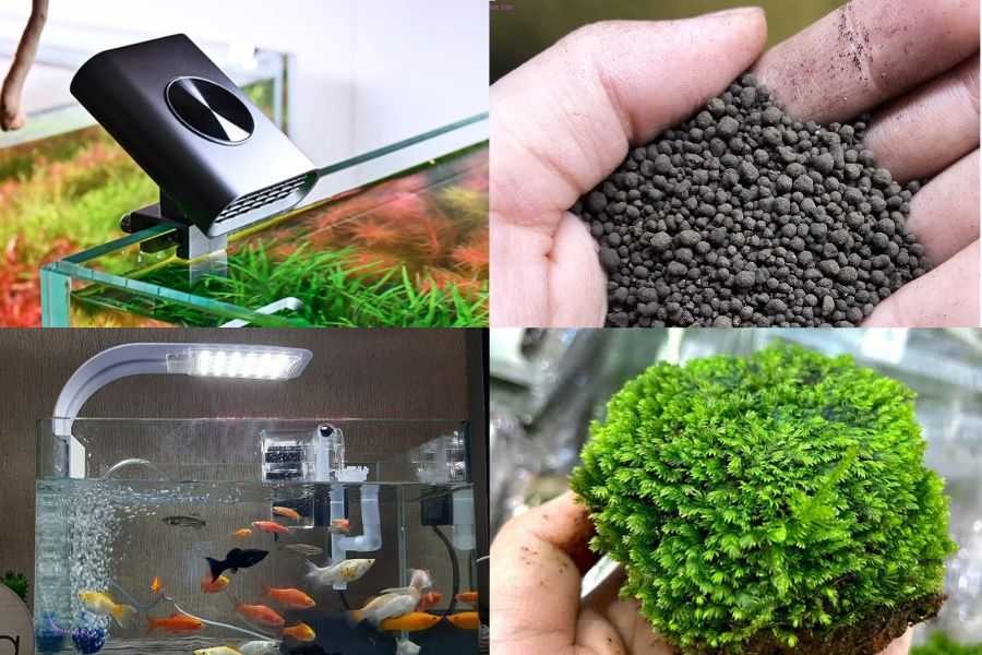 Chuẩn bị đầy đủ dụng cụ cần thiết cho bể cá thủy sinh.