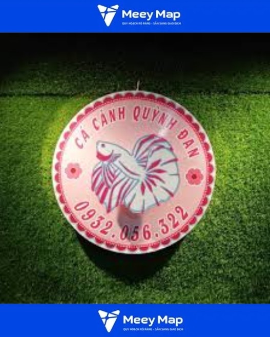 cua hang ca canh quynh dan 1