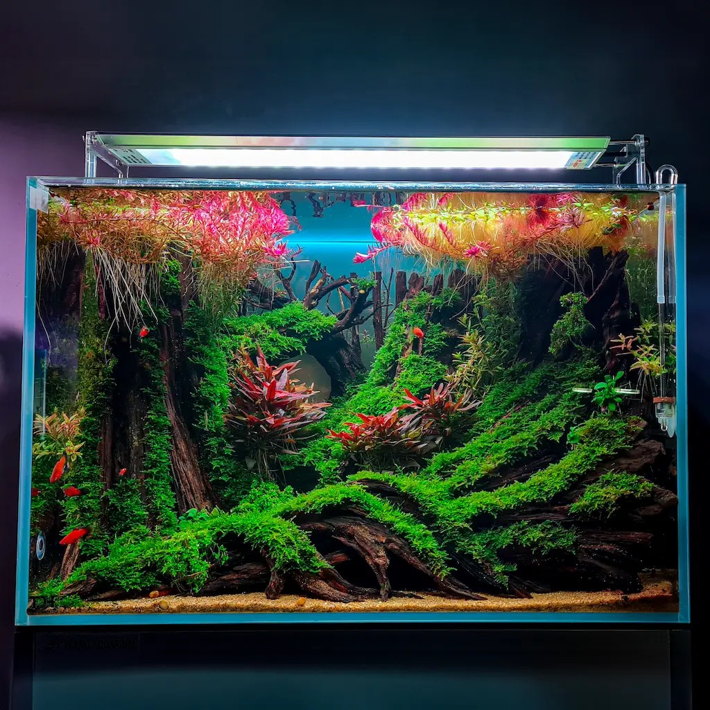 Cửa hàng thủy sinh