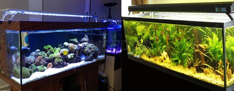 Hình ảnh đèn bể thủy sinh 1m
