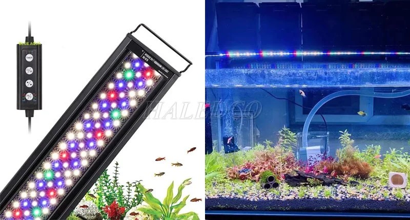 Đèn bể thủy sinh 3 chế độ