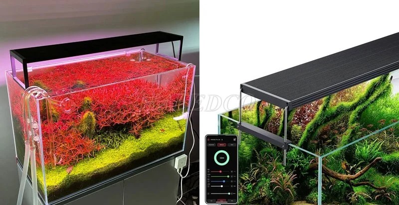 Đèn hồ cá thủy sinh Chihiros-WRGB-2-Slim 60