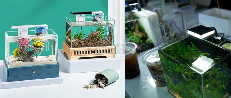 Hình ảnh đèn bể thủy sinh mini