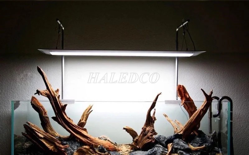 Đèn LED bể thủy sinh ONF Flat One+ Pendant