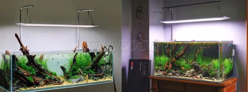Đèn led bể thủy sinh ST dạng treo