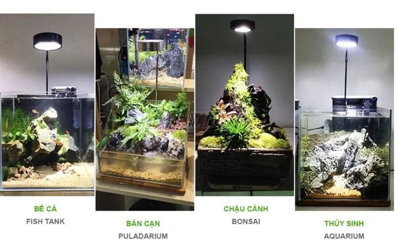 Hình ảnh đèn bể thủy sinh tròn
