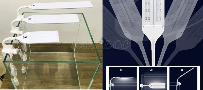 Đèn cho bể thủy sinh ZY