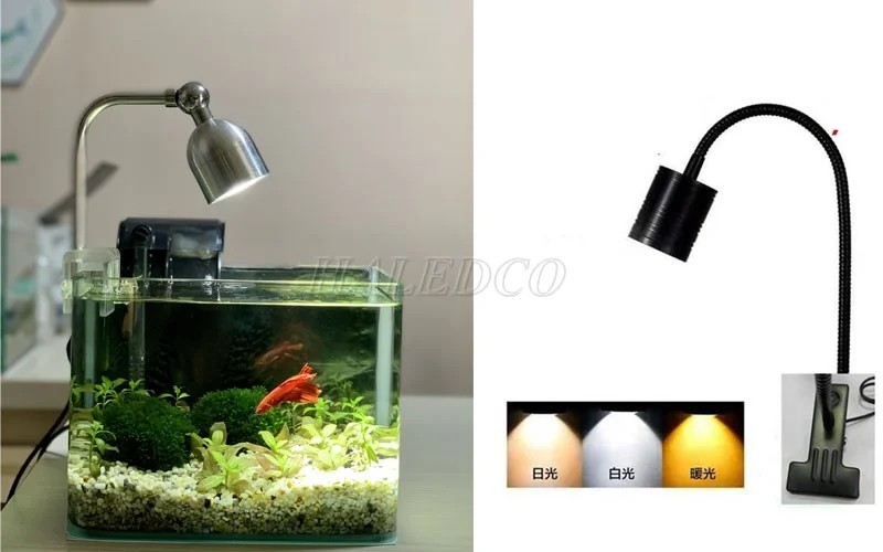 Hình ảnh đèn rọi thủy sinh