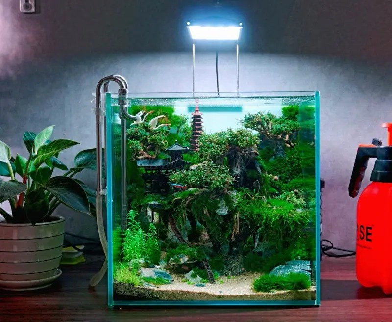 Đèn rọi thủy sinh LOL