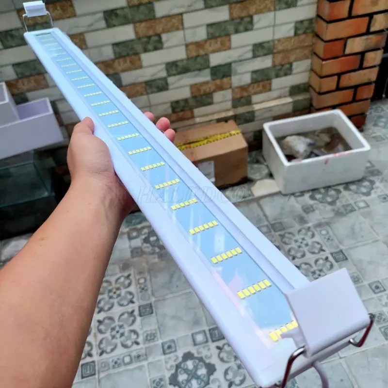 Bóng thủy sinh 10000k