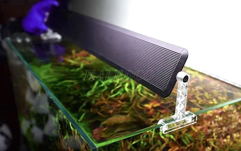 Hình ảnh đèn LED bể thủy sinh 50cm