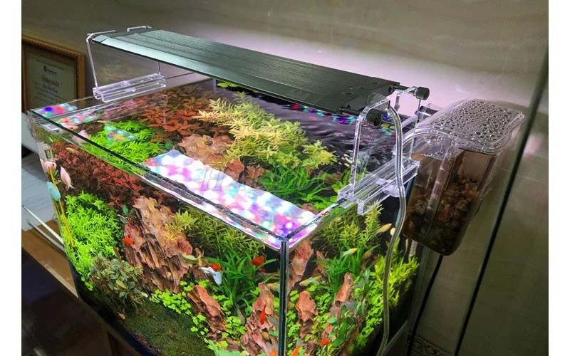 Hình ảnh đèn bể thủy sinh 60cm