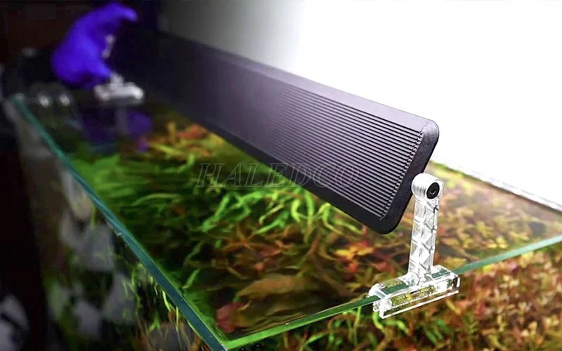 Đèn bể thủy sinh Chihiros thiên về các mẫu đèn dạng kẹp