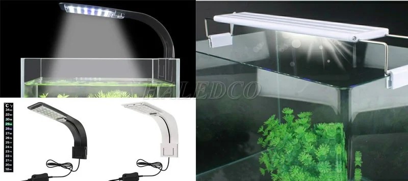 Đèn kẹp hồ thủy sinh
