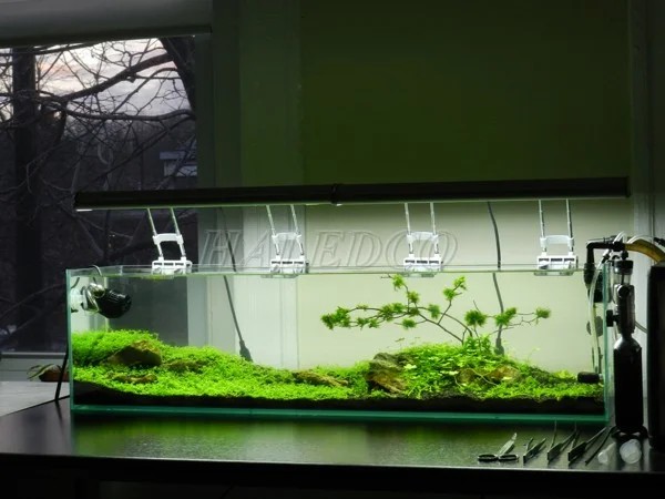 Dụng cụ chuẩn bị chế đèn thủy sinh