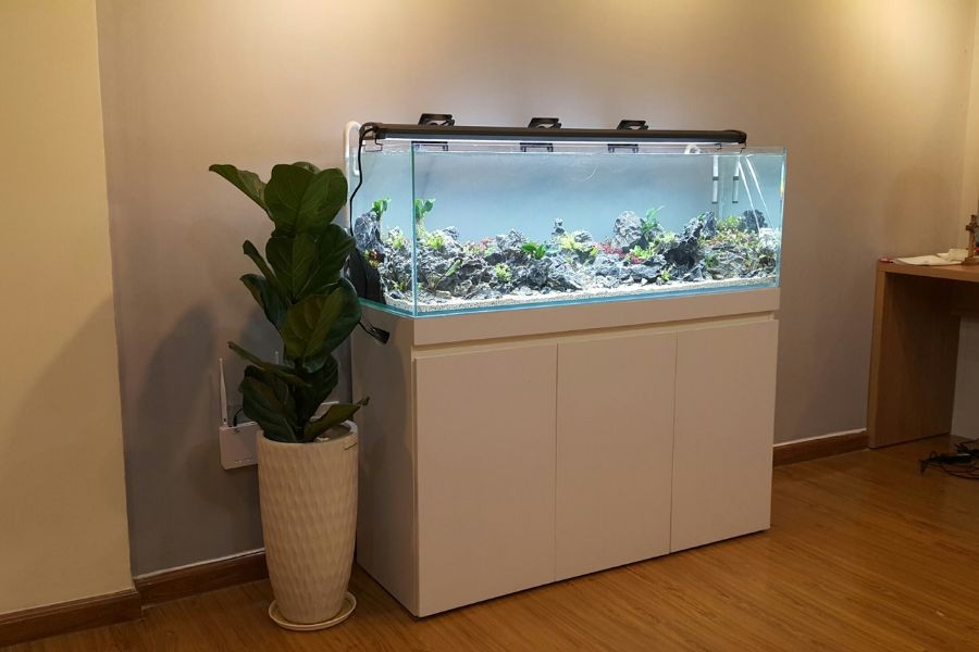 Hồ thủy sinh trên kệ gỗ sang trọng.