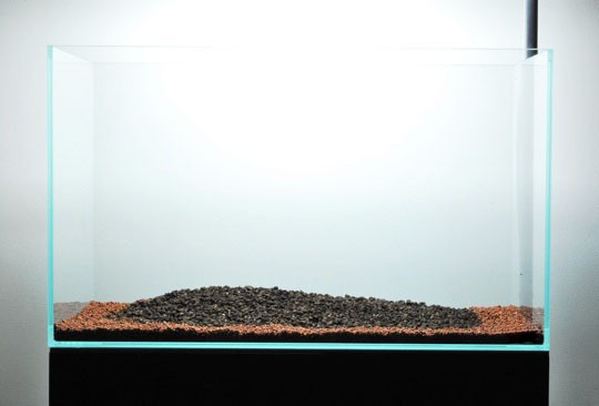 Rải lớp sỏi và phân nền cho hồ thủy sinh