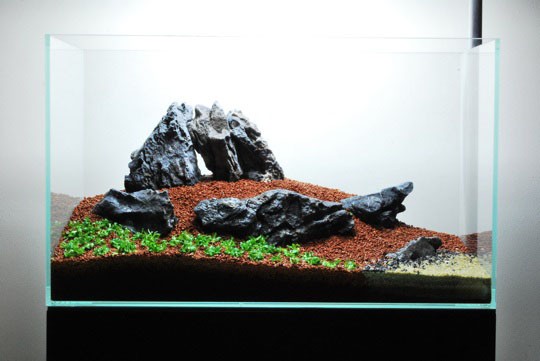 Hệ thống CO2 cho hồ thủy sinh