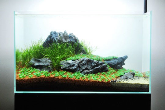 Hệ thống lọc nước cho hồ thủy sinh