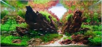 Cắt bỏ phần dây rút thừa