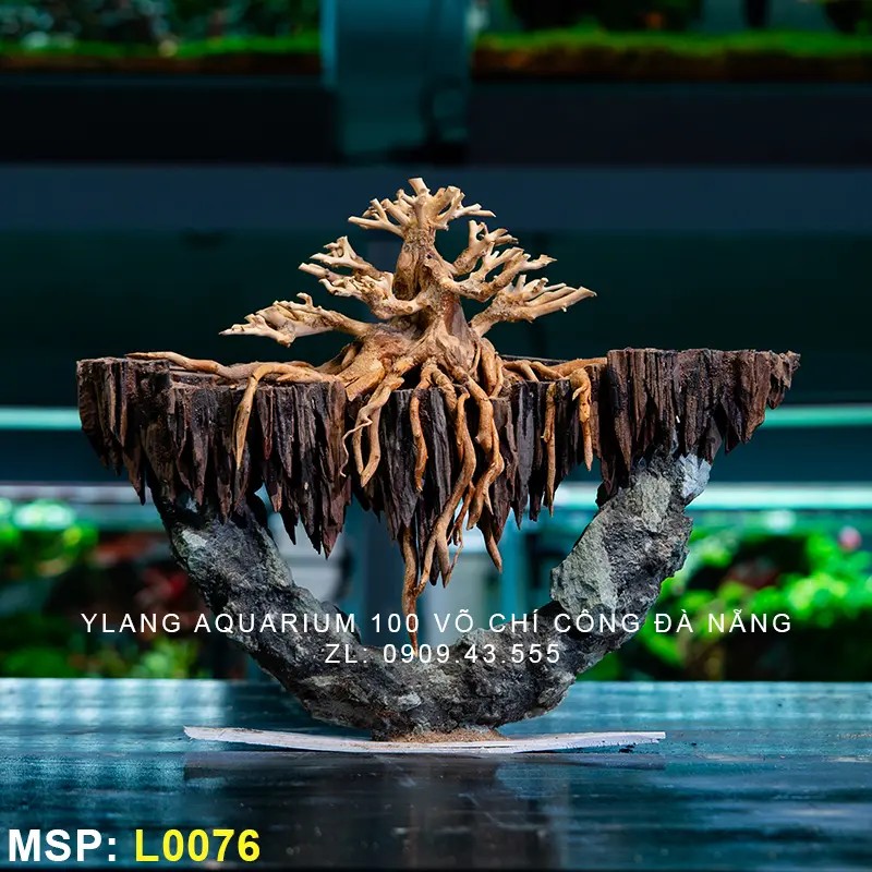 Layout Bonsai Trên Vòm Đá - Mã SP: L0076
