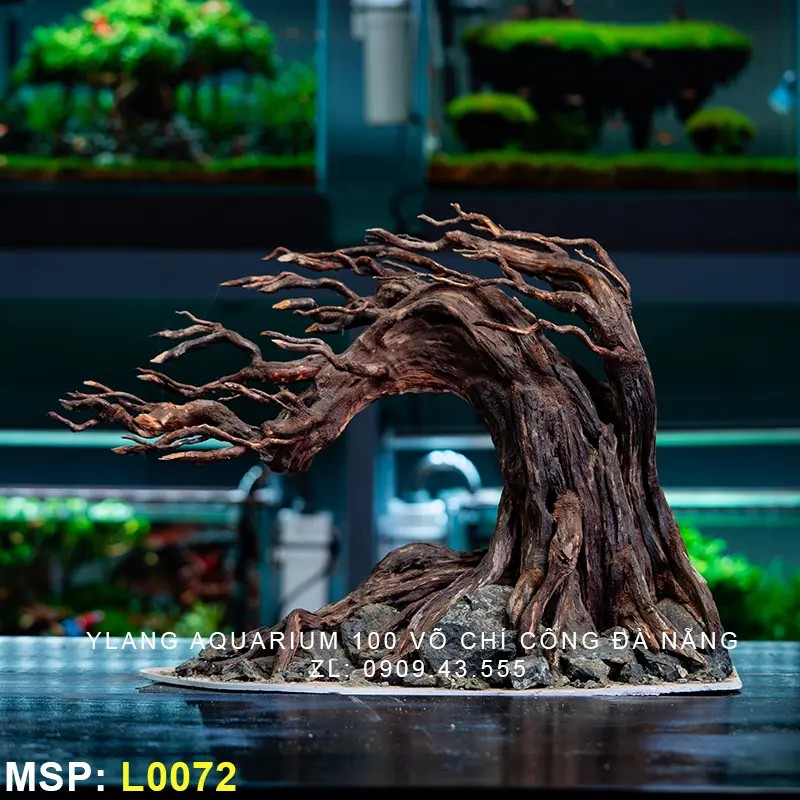 Layout Nhật Trụ Giờ Lửa - Mã SP: L0072