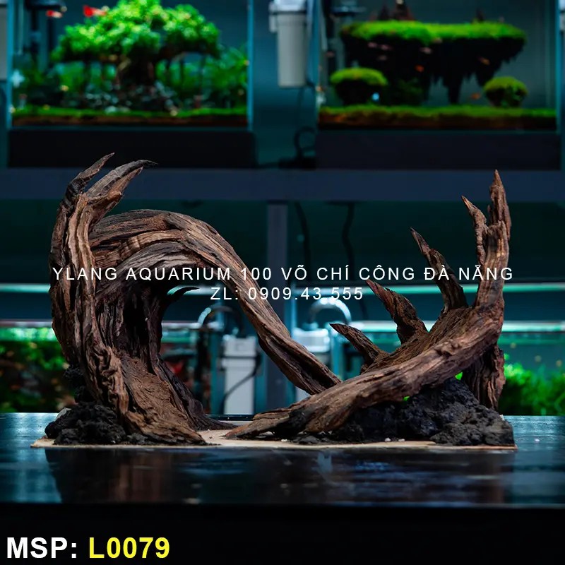 Layout Phong Cách Natural - Mã SP: L0079