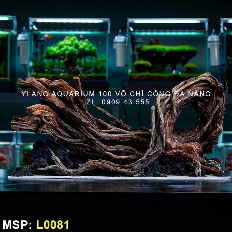 Layout Phong Cách Natural - Mã SP: L0081