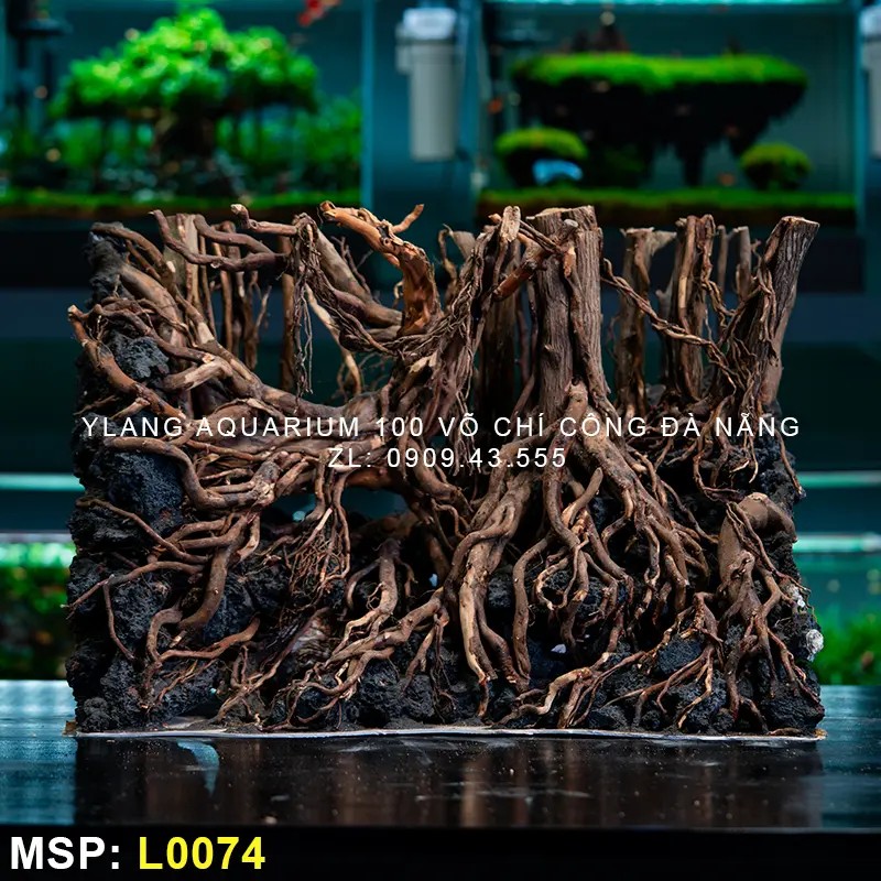 Layout Rừng Đại Thụ - Mã SP: L0074