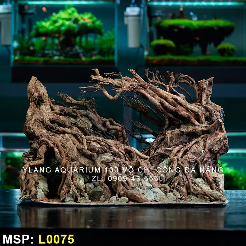 Layout Rừng Đại Thụ - Mã SP: L0075