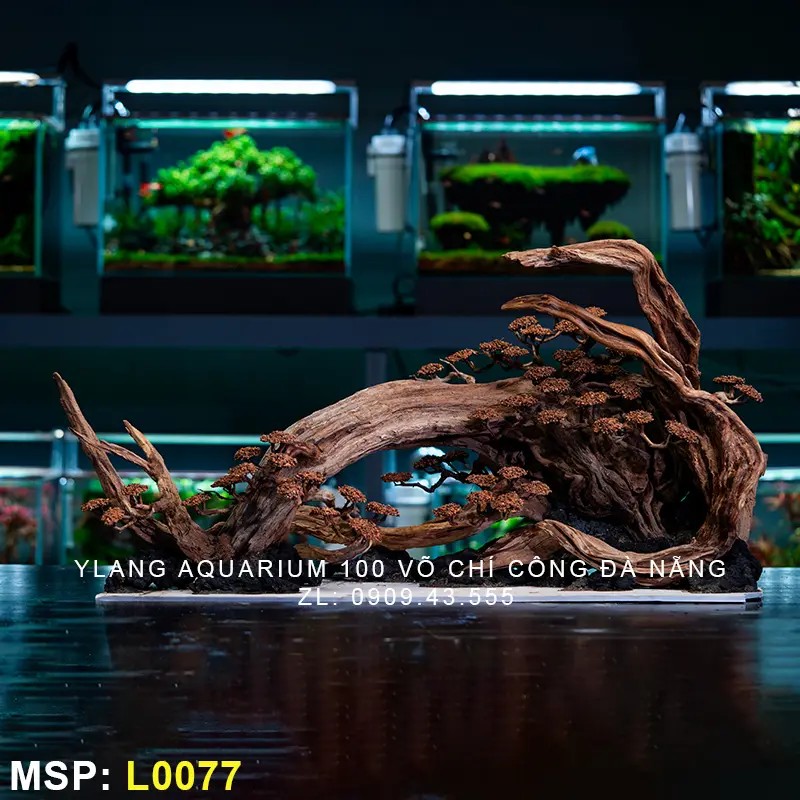 Layout Rừng Nature - Mã SP: L0077