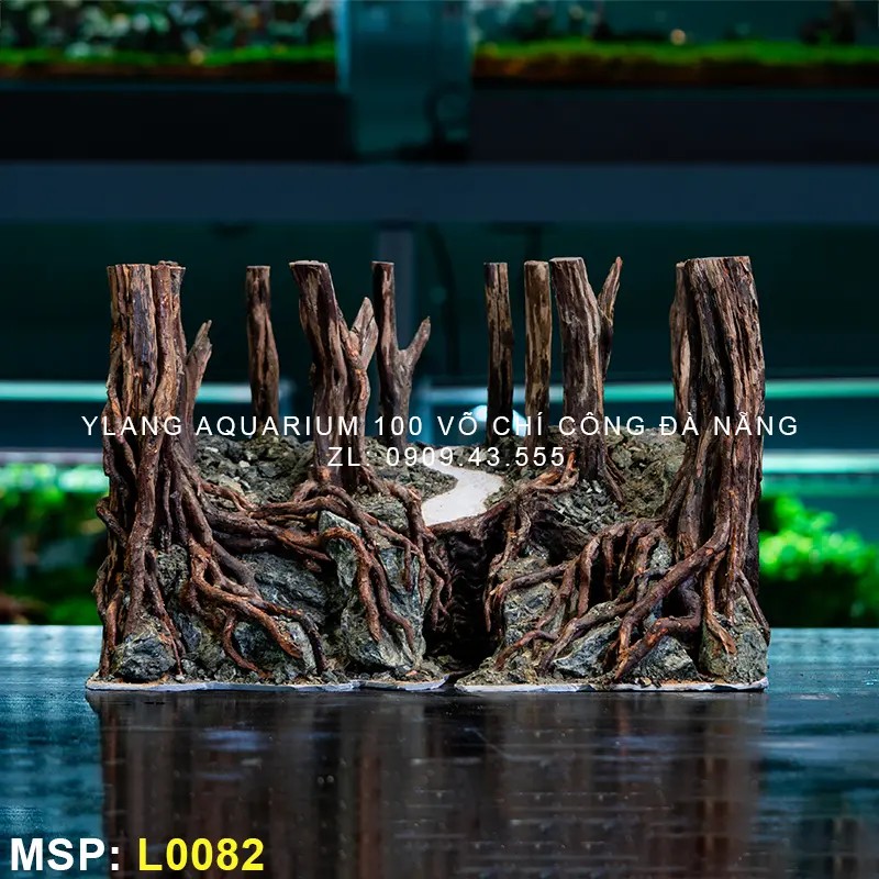 Các mẫu layout thủy sinh đa dạng