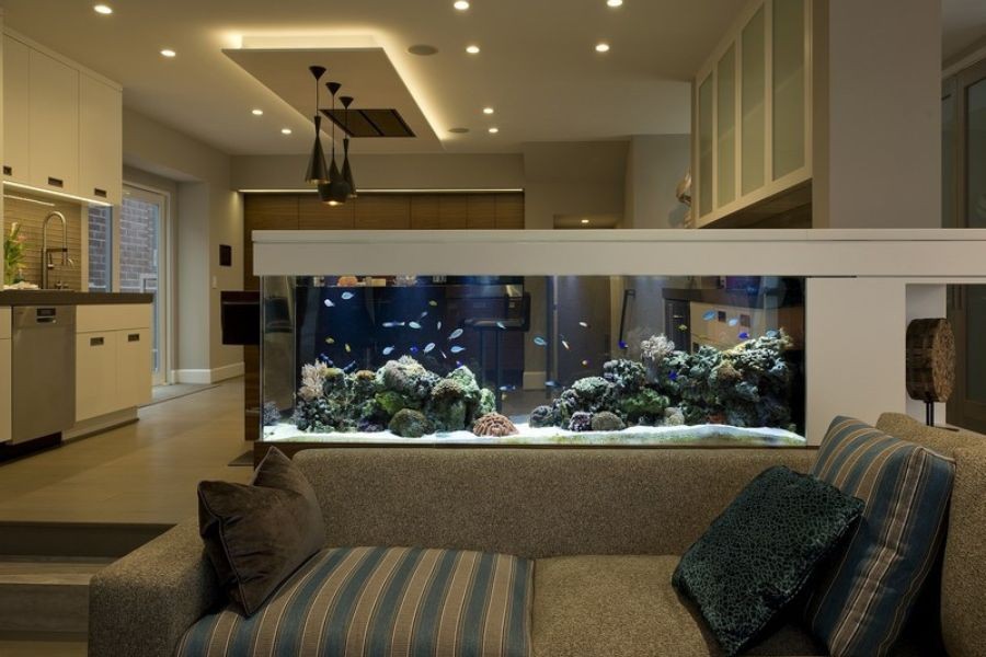 Lựa chọn vị trí đặt hồ thủy sinh phù hợp với không gian.