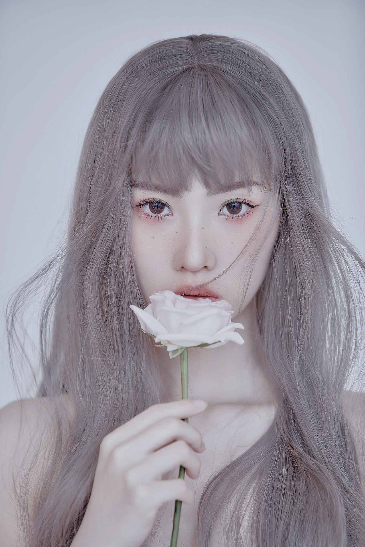 Cung hoàng đạo Xử Nữ hợp với hoa hồng trắng