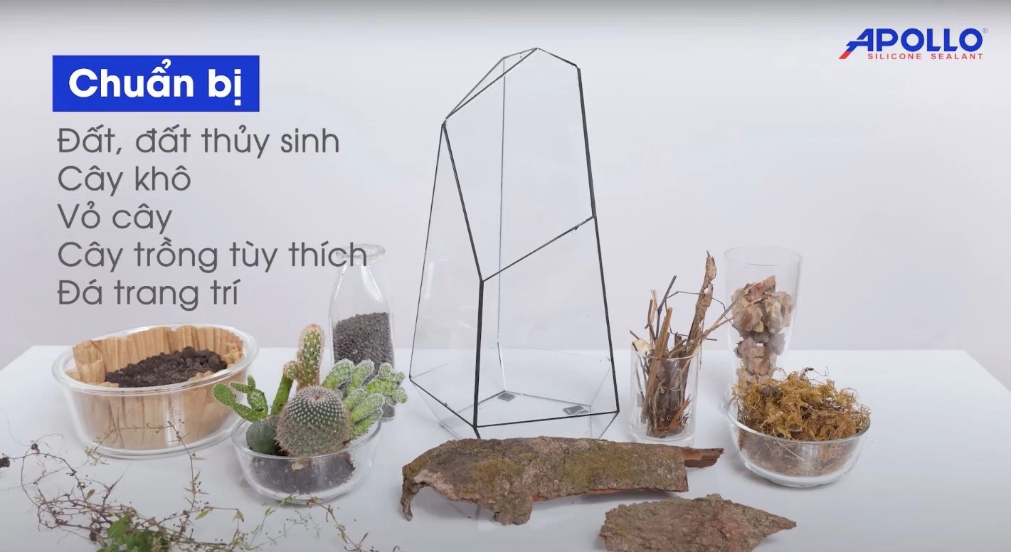 Trang trí bể kính terrarium