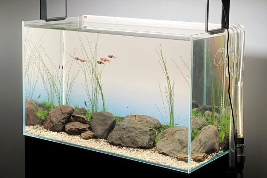 Trang bị thêm các linh kiện khác để hoàn thiện hồ thủy sinh.